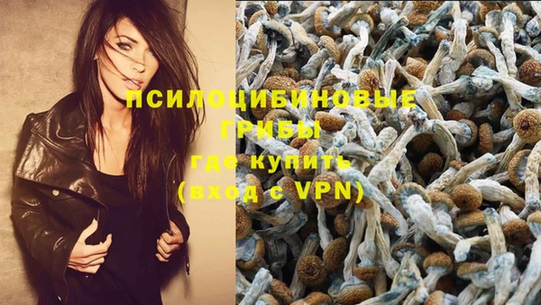 метамфетамин Ладушкин