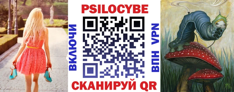 цены наркотик  Малгобек  Галлюциногенные грибы Cubensis 
