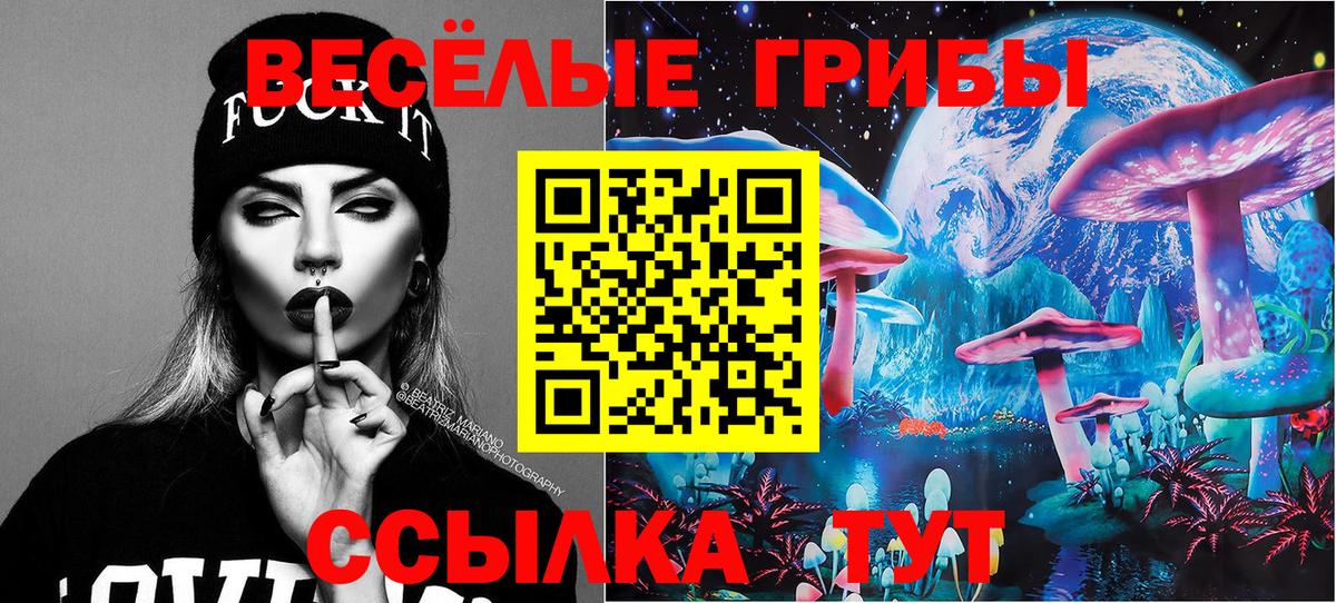 Галлюциногенные грибы мицелий Малгобек