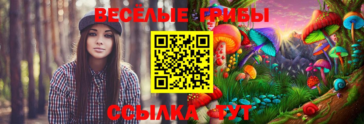 закладка  Вход с VPN  Малгобек  Галлюциногенные грибы прущие грибы  Галлюциногенные грибы GOLDEN TEACHER 